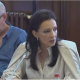 Tepić: Razumem bol roditelja, Anketni odbor treba da pokaže da li je sve moglo da bude sprečeno 11