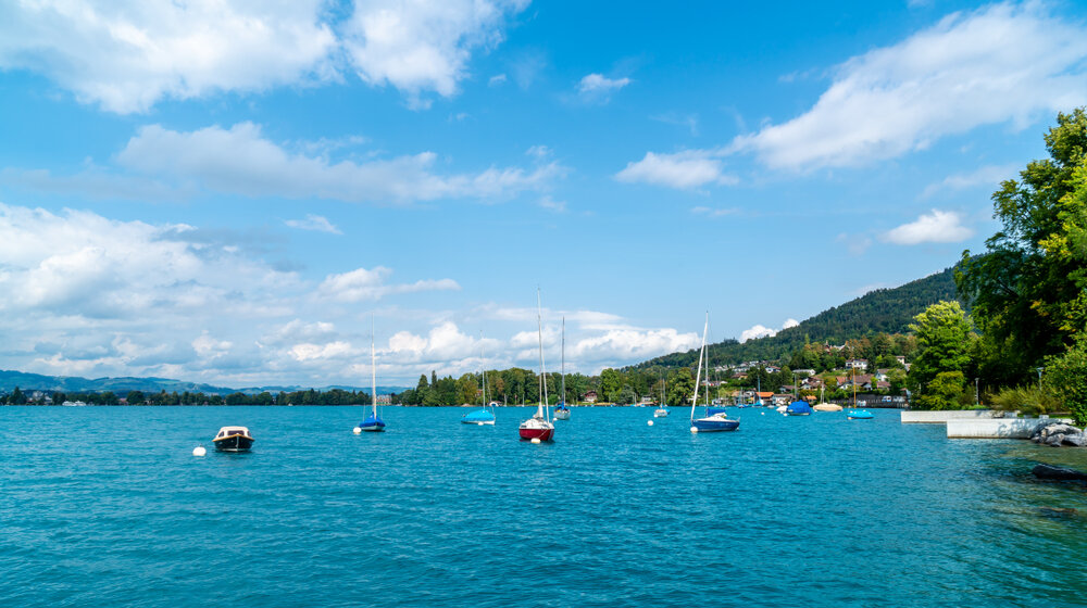 Retka vrsta ajkule ulovljena u Herceg Novom 1
