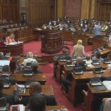 Umesto o amandmanima na budžet, poslanici o Đilasu, psu, lokatorima i prepariranom Bulatoviću (VIDEO) 7