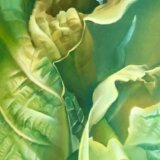 Izložba Mirjane Mit u Galeriji ALUZ u Zrenjaninu 5