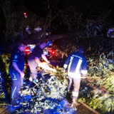 Sektor za vanredne situacije u Srbiji od sinoć zbog nevremena imao 201 intervenciju 4