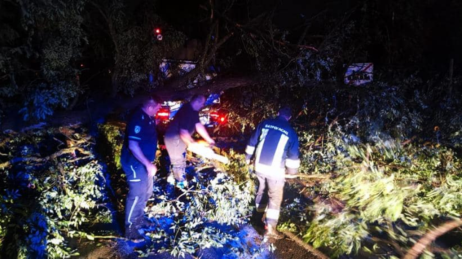 Sektor za vanredne situacije u Srbiji od sinoć zbog nevremena imao 201 intervenciju 1