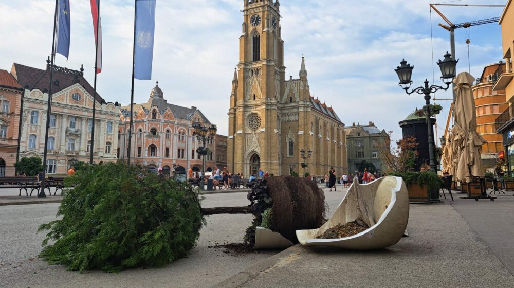 Raščišćavanje posledica oluje u Novom Sadu traje već tri dana: Parkovi i Štrand i dalje zatvoreni, pojedini delovi grada bez struje 1