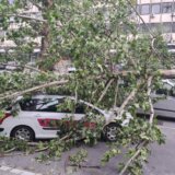 Priroda nam šalje upozorenje: Da li je vreme da građani uskrate vernost kompanijama koje se ne zalažu za održivo poslovanje? 6