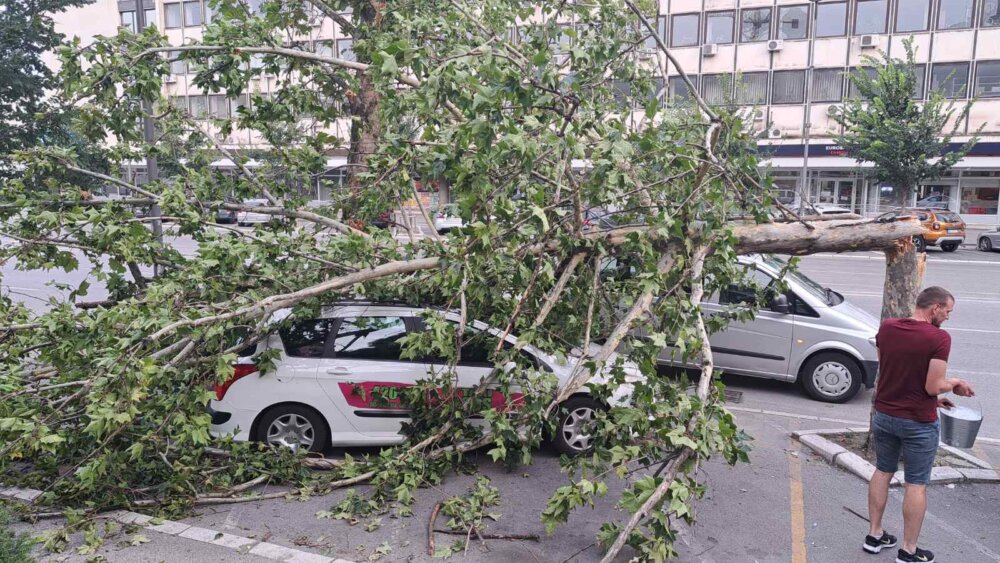 Raščišćavanje posledica oluje u Novom Sadu traje već tri dana: Parkovi i Štrand i dalje zatvoreni, pojedini delovi grada bez struje 3