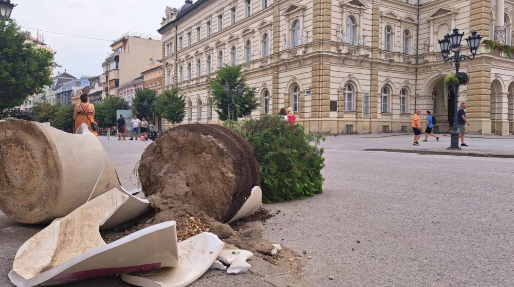 Novi Sad i dalje zbraja štetu: Uklonjeno više do 1.000 stabala, prijavljeno 2.000 oštećenja na objektima 1