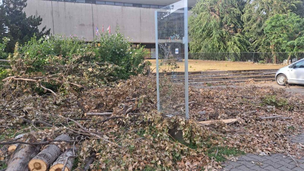 Meštani manjih mesta u okolini Novog Sada zaboravljeni: Nemaju struju već pet dana, bandere samo što ne padnu 3