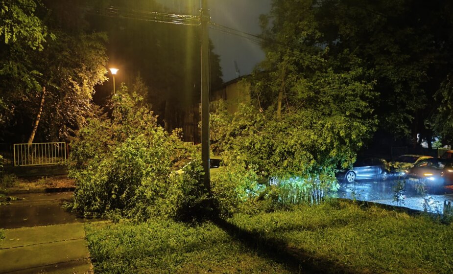 U Bačkoj Palanci 3.100 objekata ima štetu od nevremena, polomljeno pola miliona stabala drveća 1