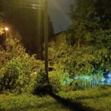 U Bačkoj Palanci 3.100 objekata ima štetu od nevremena, polomljeno pola miliona stabala drveća 5