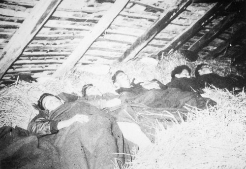 Rehabilitacija četništva ili filmovana istorijska činjenica: Da li je opravdana medijska bura izazvana insertom iz filma „Heroji Halijarda”? 3