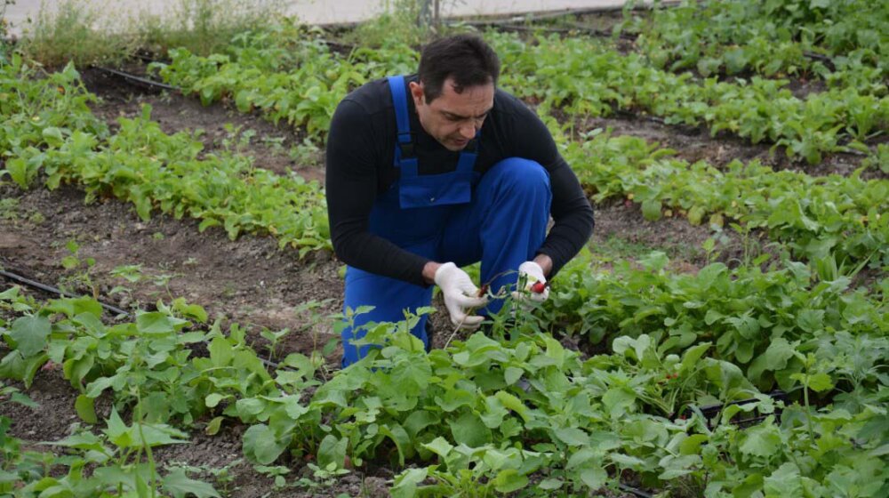 Šta o otvaranju mosta na Ibru i zajedničkom životu Srba i Albanaca misli Vulin po povratku iz Moskve? 1