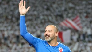 Dejan Stanković, FK Crvena zvezda