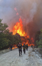 Srpski vatrogasci danas pomagali u gašenju požara kod grčkog sela Provatonas (FOTO) 3