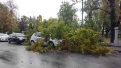 nevrene, oluja Velika količina kiše i jak vetar u Srbiji: U Beogradu ulice poplavljene (FOTO, VIDEO) 3