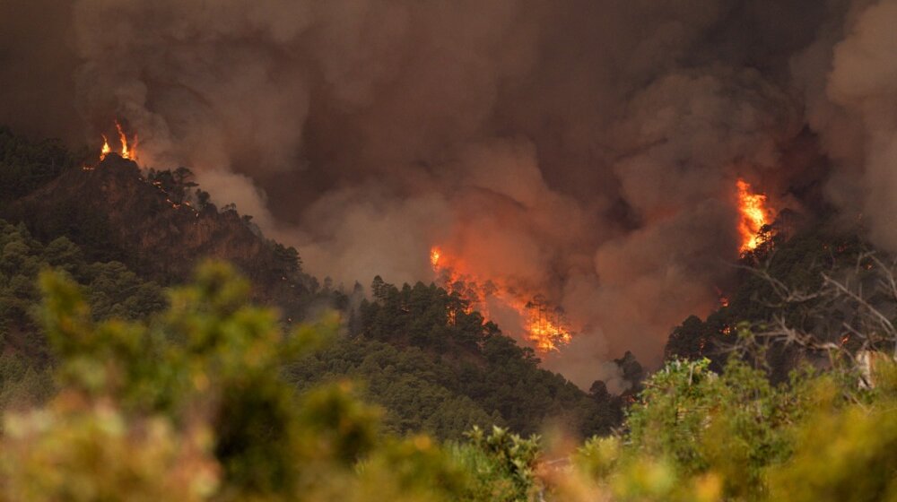 Tenerife požar