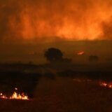 Sedmi dan borbe protiv požara u Grčkoj: Posebno teško na severu zemlje 4