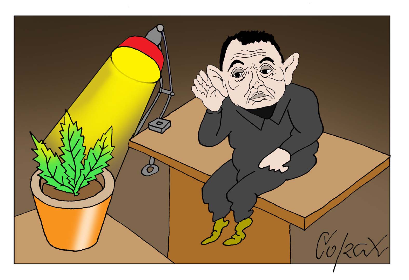 Corax 7