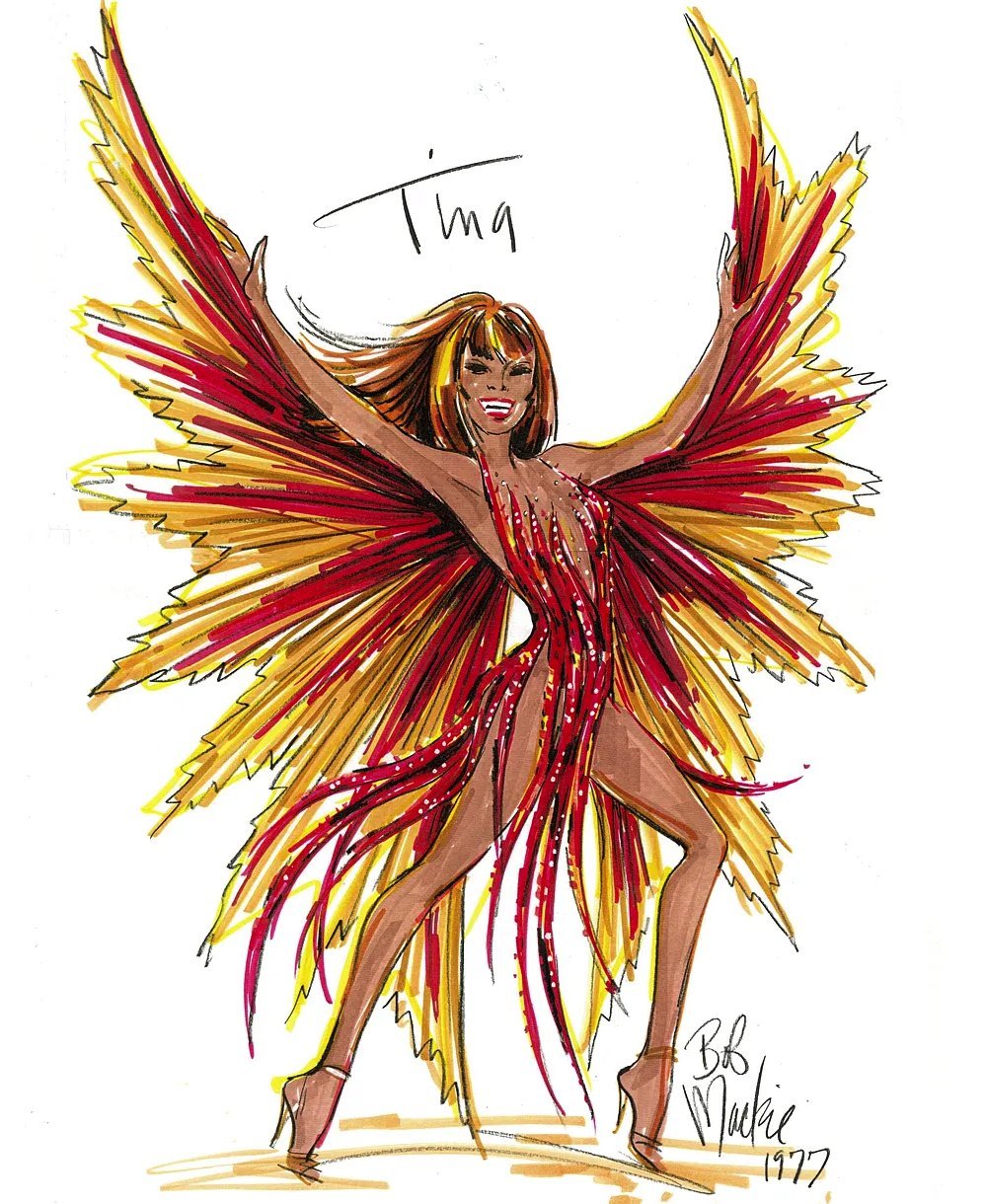 Zašto dive nikom ne treba da polažu račune 2 Tina Tarner, crtež