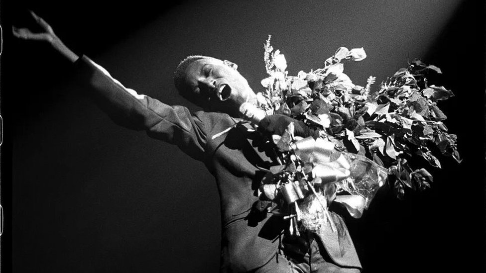 Zašto dive nikom ne treba da polažu račune 5 Grejs Džons