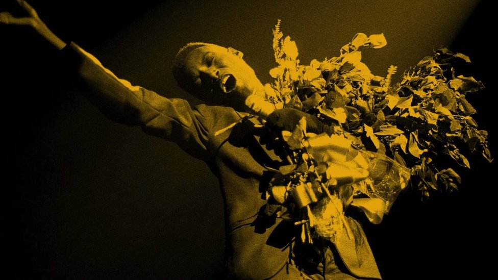 Zašto dive nikom ne treba da polažu račune 1 Grejs Džons