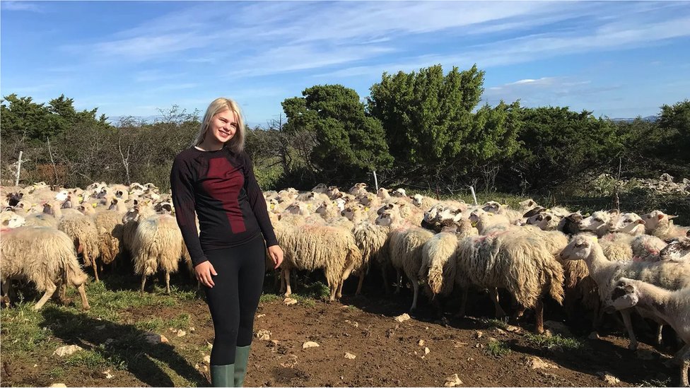 Mnogi stanovnici Paga učestvuju u proizvodnji sira