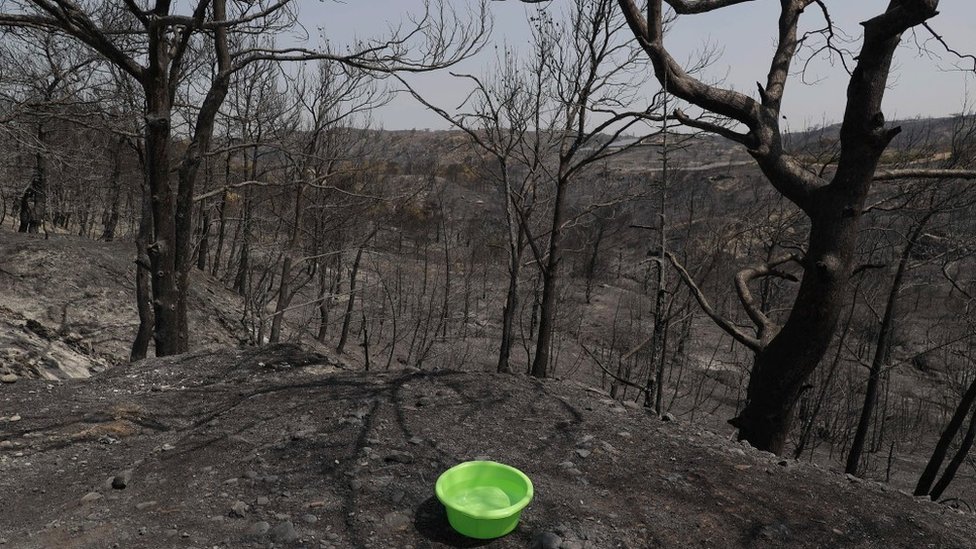 Vremenske nepogode: Novo jako nevreme u Srbiji - vetar nosio krovove, padao grad 5 rodos, požar na rodosu