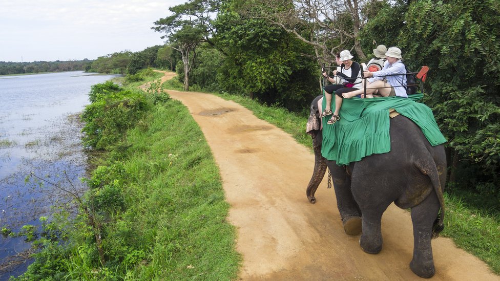 Turisti, slon, Šri Lanka
