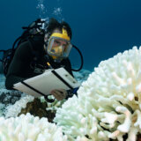 Planeta i klimatske promene: Okeani rekordno topli, posledice strašne, kažu naučnici 7