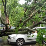 Vremenske nepogode: Novo jako nevreme u Srbiji - odvaljene fasade, stabla po automobilima i na ulicama 4