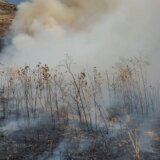 Klimatske promene: Šumski požari, promenljivo lice mediteranskog pejzaža 3