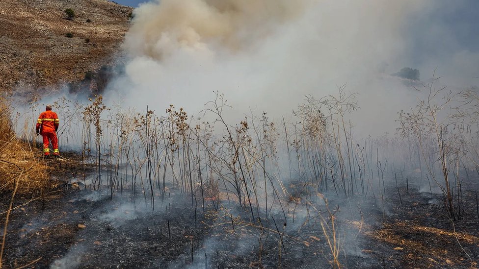 Klimatske promene: Šumski požari, promenljivo lice mediteranskog pejzaža 1 Požari