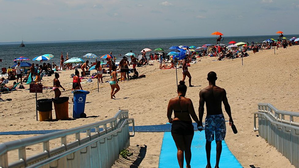 Životinje: Prvi napad ajkule čoveka u Njujorku poslednjih 65 godina, vlasti zatvorile popularno kupalište 1 Rockaway Beach
