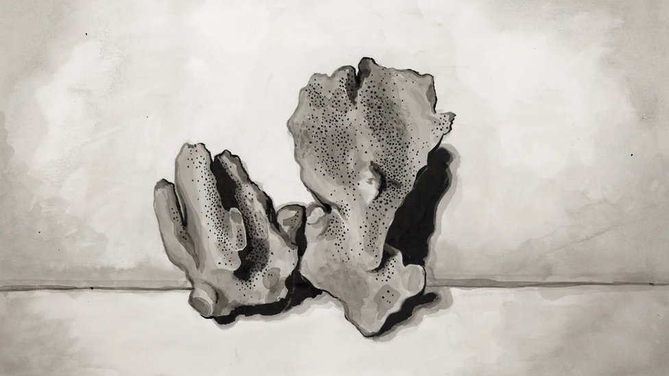 Plavi bljesak: Kako je trenutak nepažnje doveo do smrtonosne nesreće u Openhajmerovom projektu „Menhetn“ 17 Koralni atoli, kao što su oni na Maršalskim ostrvima, formiraju se 10.000 godina. Američki nuklearni testovi uništili su čitava ostrva, ostavivši kratere vidljive na satelitskim snimcima