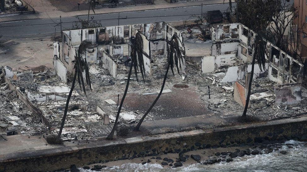 Požari i Havaji: Najmanje 53 mrtvih u požarima na ostrvu Maui, preživeli beže da „spasu živu glavu" 1 Posledice požara