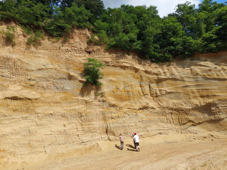 Panonsko more, geologija i Evropa: Kada su severom Srbije plivali megalodoni i kitovi, a Fruška gora i Avala bile ostrva 3 Slojevi šljunka u slovačkom mestu Njemčinjani koje je paleoreka Hron, pritoka Panonskog jezera, nataložila sa Zapadnih Karpata.