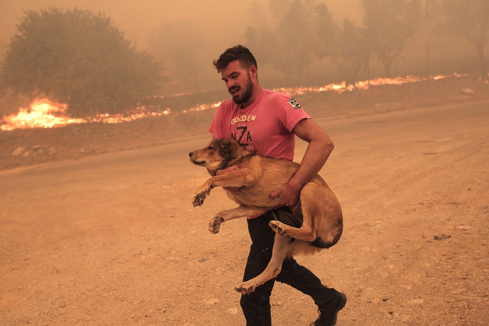 čovek nosi psa iz požara