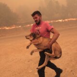 Požari u Grčkoj: Vatrena stihija u šumi odnela 18 života, evakuisana cela bolnica 5