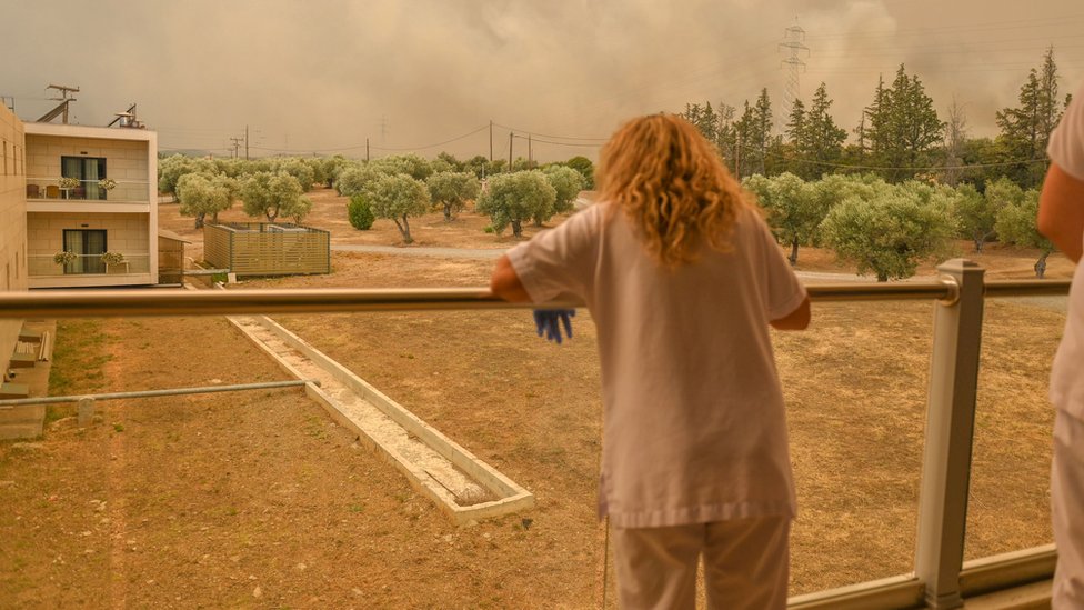 Požari u Grčkoj: Vatrena stihija odnela najmanje 20 života, ljudi pokušavaju da spasu i domaće životinje 11 požari u Grčkoj