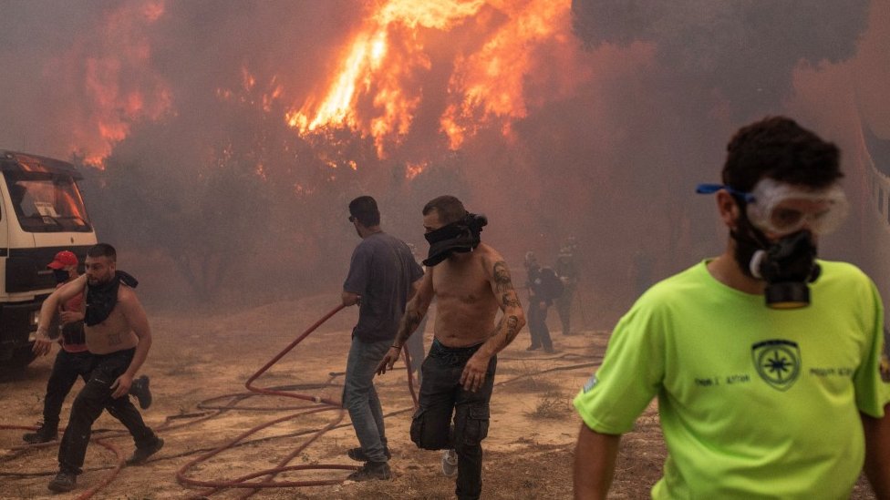 Požari u Grčkoj: Vatrena stihija odnela najmanje 20 života, ljudi pokušavaju da spasu i domaće životinje 6 požari u Grčkoj
