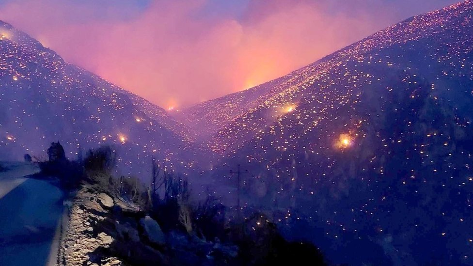 Požari u Grčkoj: Vatrena stihija odnela najmanje 20 života, ljudi pokušavaju da spasu i domaće životinje 14 požari u Grčkoj