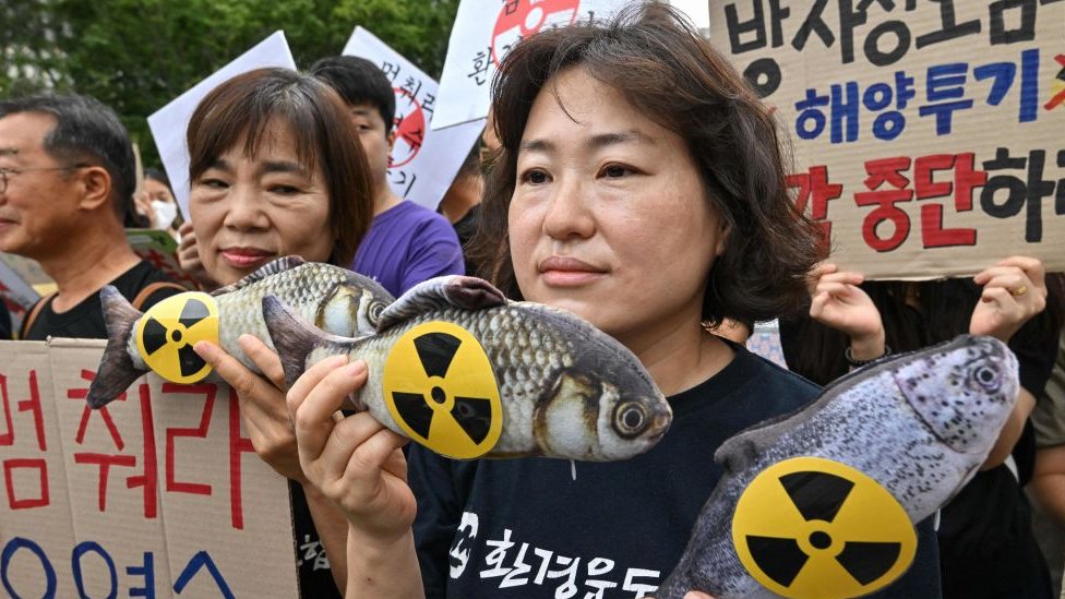 South Korean environmental activists hold fish dolls with radioactive signs during a rally against the Japanese government's plan to release waste water from the stricken Fukushima-Daiichi nuclear plant, Seoul, 24 August 2023