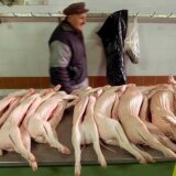 Koliko će domaćine koštati jagnjići i prasići na prazničnim trpezima? 5