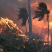 Havaji: Najveći broj nastradalih u jednom šumskom požaru u poslednjih 100 godina 10