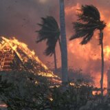Havaji: Najveći broj nastradalih u jednom šumskom požaru u poslednjih 100 godina 1