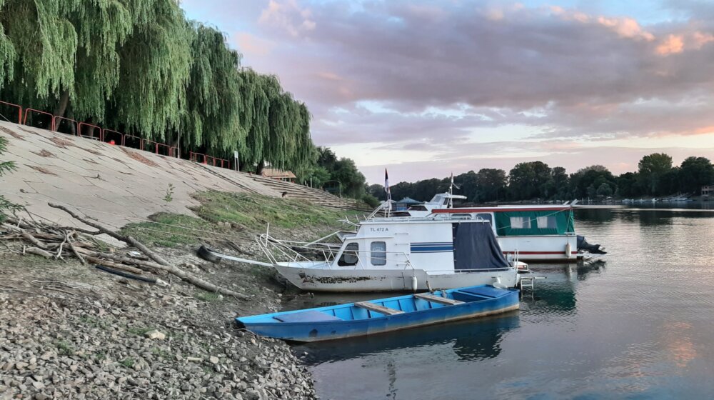 U Tisi karaš, linjak i čikov, na obali vrbe, a pravi fenomen je ples Tiskog cveta 1
