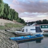 U Tisi karaš, linjak i čikov, na obali vrbe, a pravi fenomen je ples Tiskog cveta 4