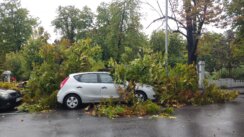 nevrene, oluja Velika količina kiše i jak vetar u Srbiji: U Beogradu ulice poplavljene (FOTO, VIDEO) 2