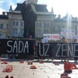 U Novom Sadu održan skup podrške ženama u Bosni i Hercegovini: Ne postoji hitniji posao od suzbijanja muškog nasilja 10