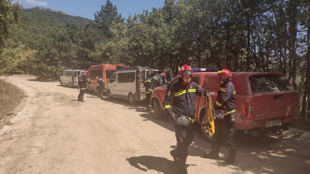 Srpski vatrogasci danas pomagali u gašenju požara kod grčkog sela Provatonas (FOTO) 1