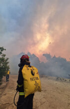 Srpski vatrogasci danas pomagali u gašenju požara kod grčkog sela Provatonas (FOTO) 4
